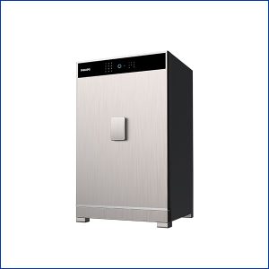 Két sắt vân tay Philips SBX701-8B0 150kg (850x530x480)